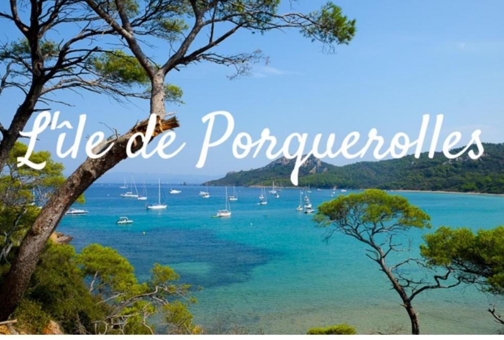Le Terra-Cota 3 Ch Privees 10' Gare-Port Et Plage, Wfi, Cosy Тулон Экстерьер фото