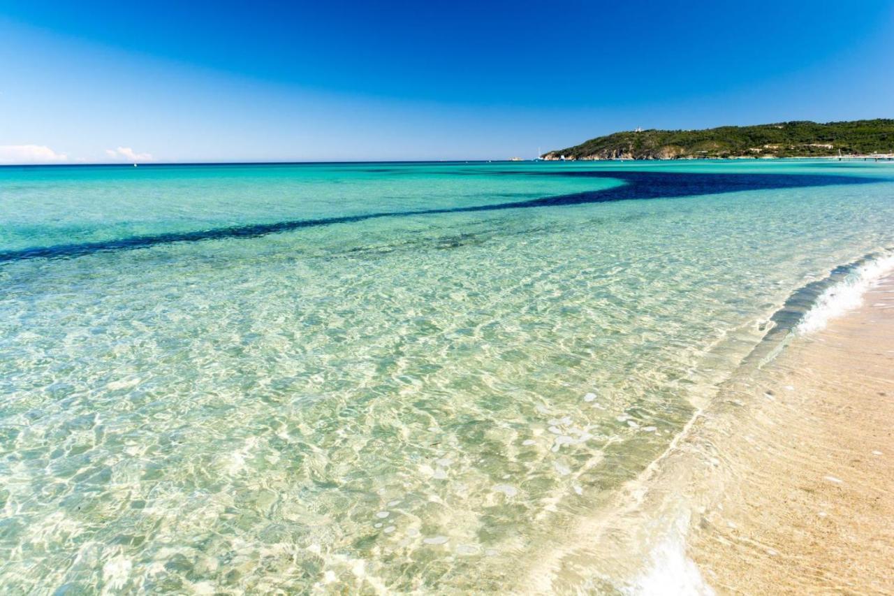 Le Terra-Cota 3 Ch Privees 10' Gare-Port Et Plage, Wfi, Cosy Тулон Экстерьер фото